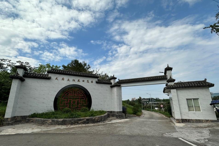乡里·田园艺术度假中心项目缩略图